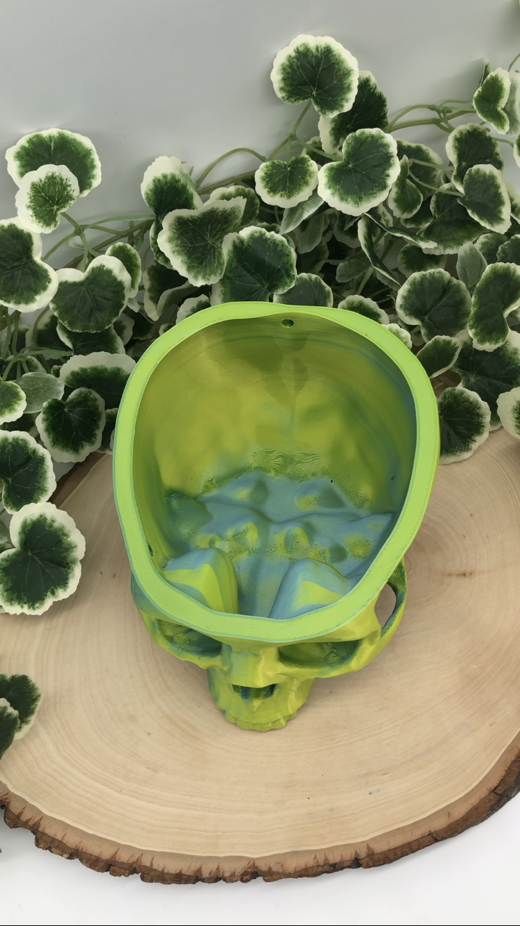 Hanging Skull Planter