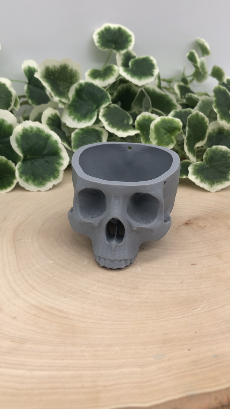 Hanging Skull Planter