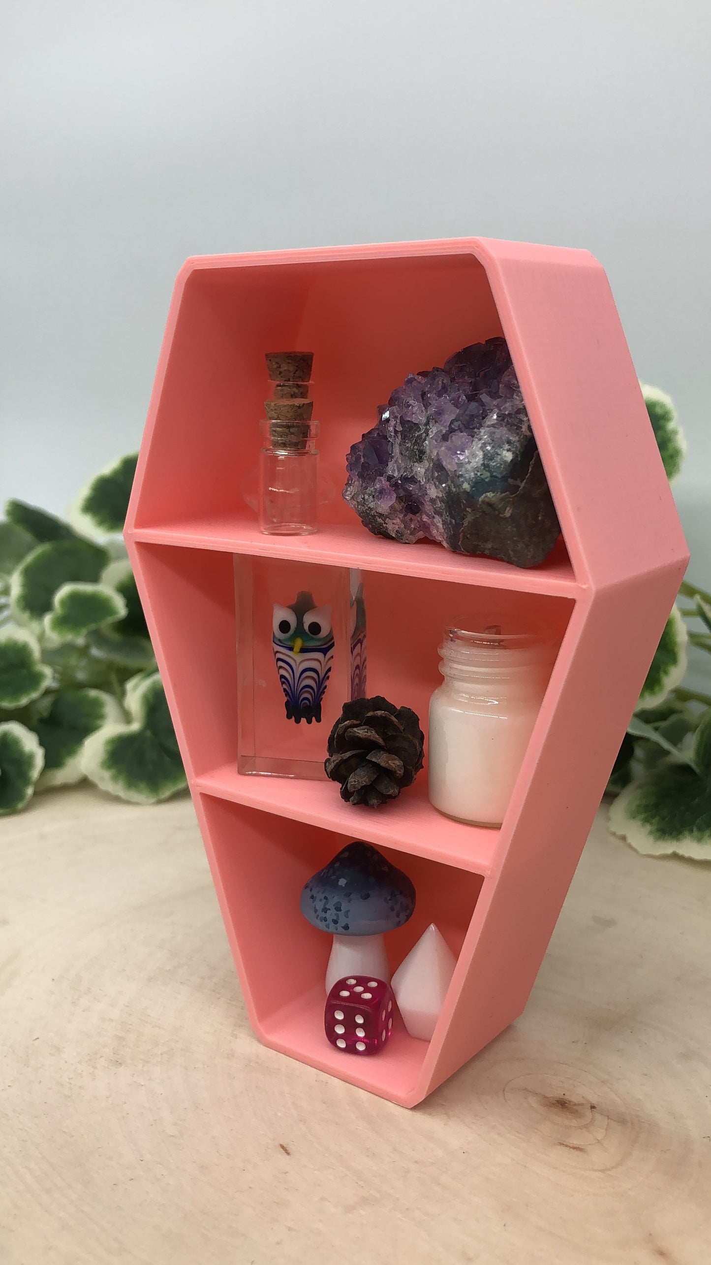 Coffin Trinket Shelf 5"