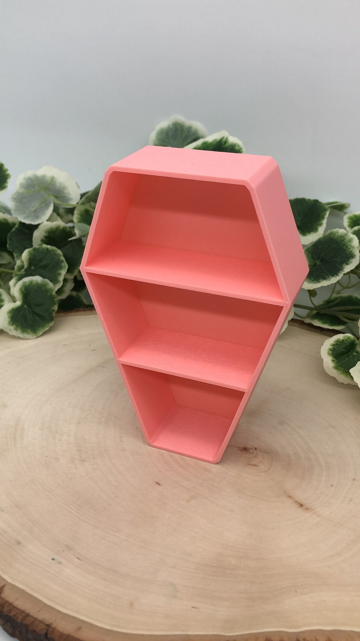 Coffin Trinket Shelf 5"