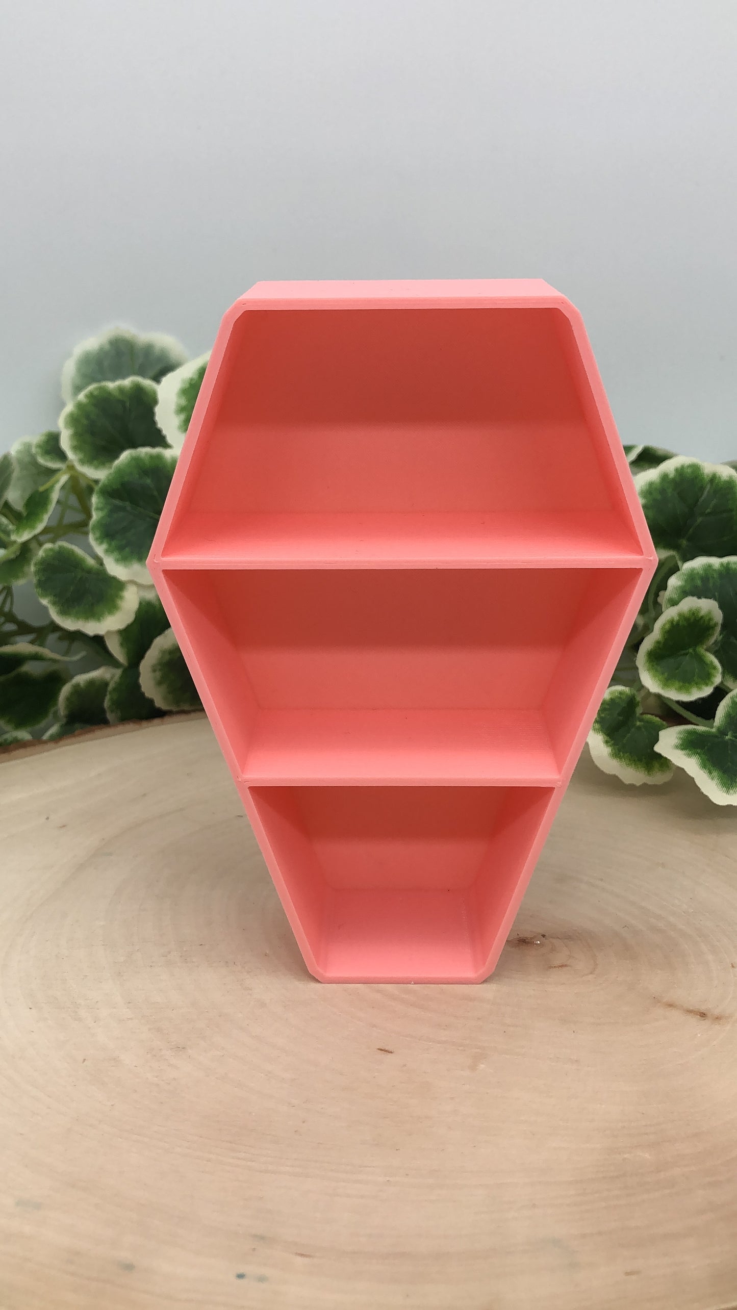 Coffin Trinket Shelf 5"