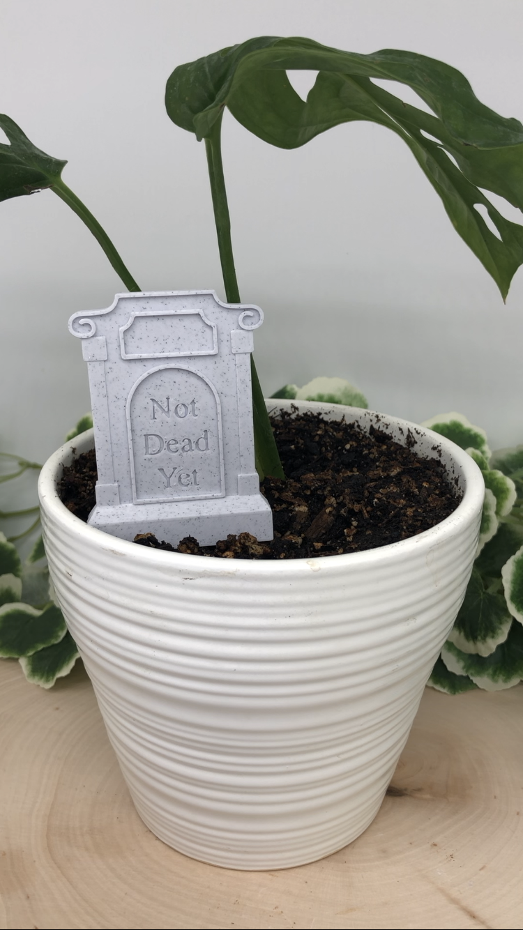 Thyme Headstone Plant Marker (Not Dead Yet)