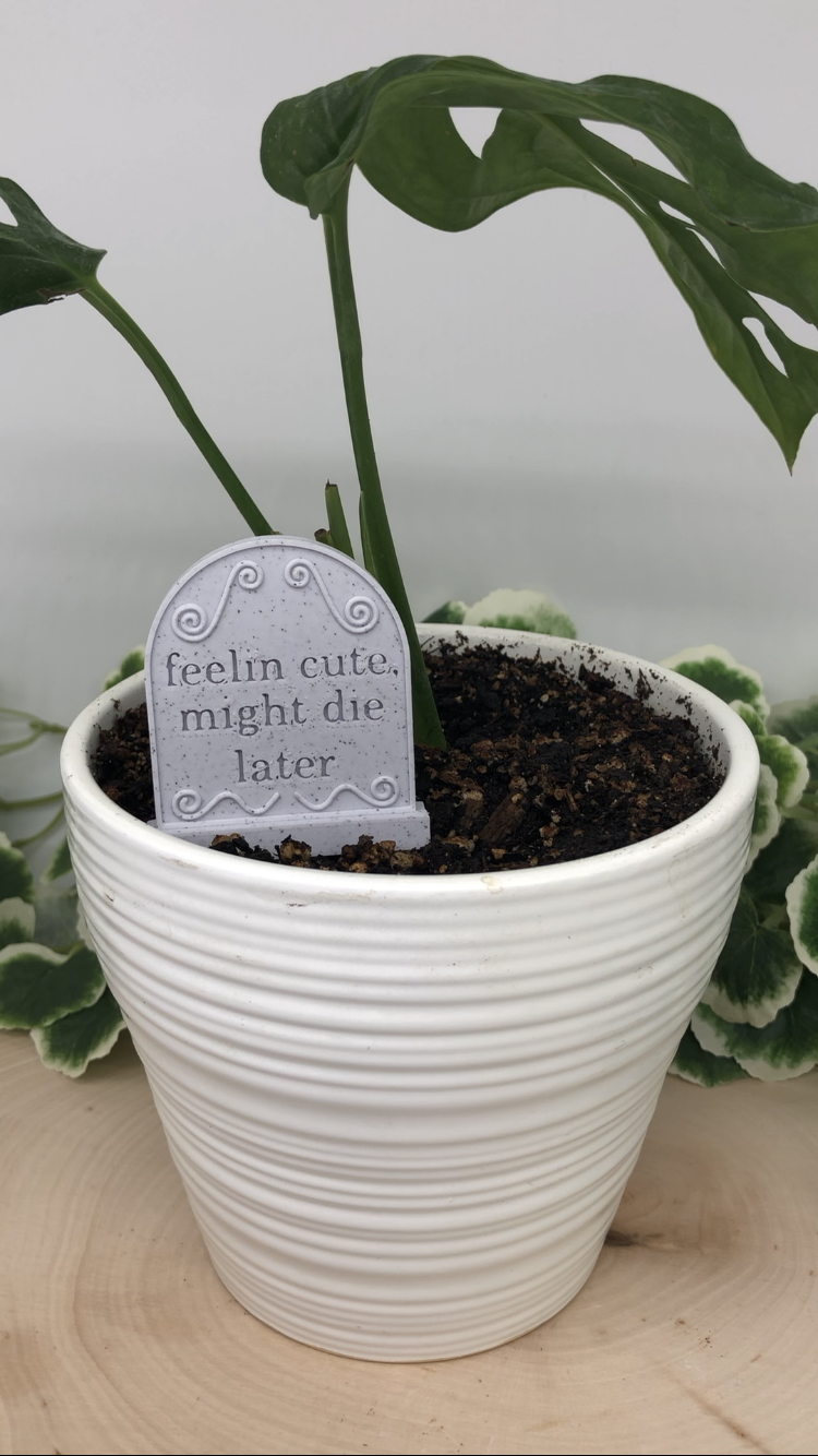 Basil Headstone Plant Marker (Feelin Cute, Might Die Later)