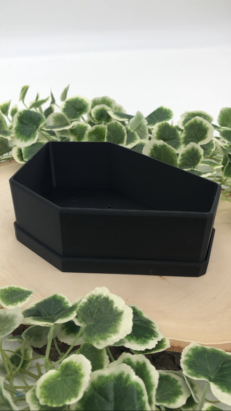 Coffin Planter