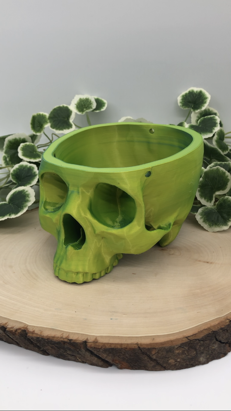 Hanging Skull Planter