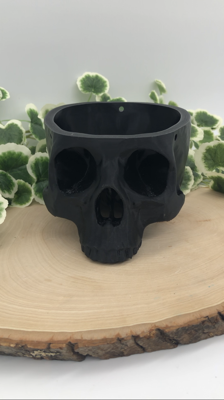 Hanging Skull Planter