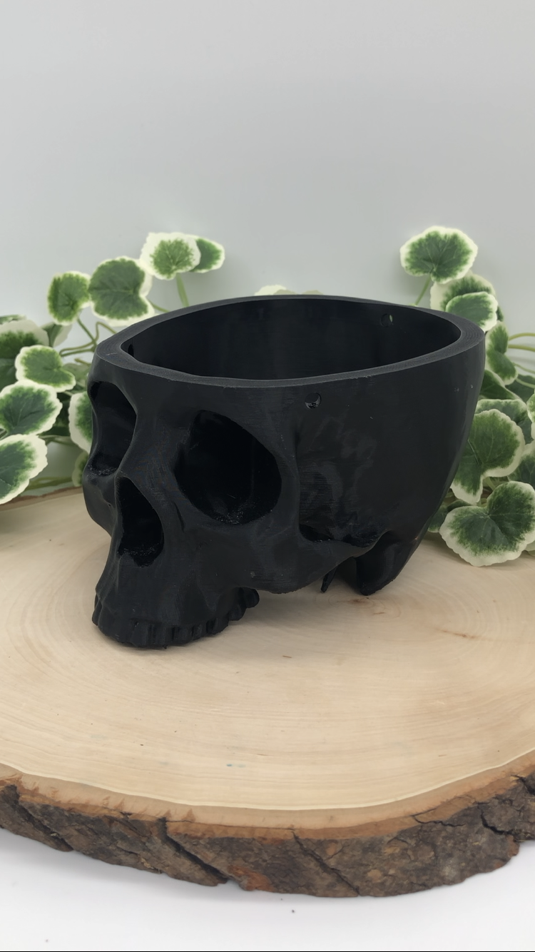 Hanging Skull Planter