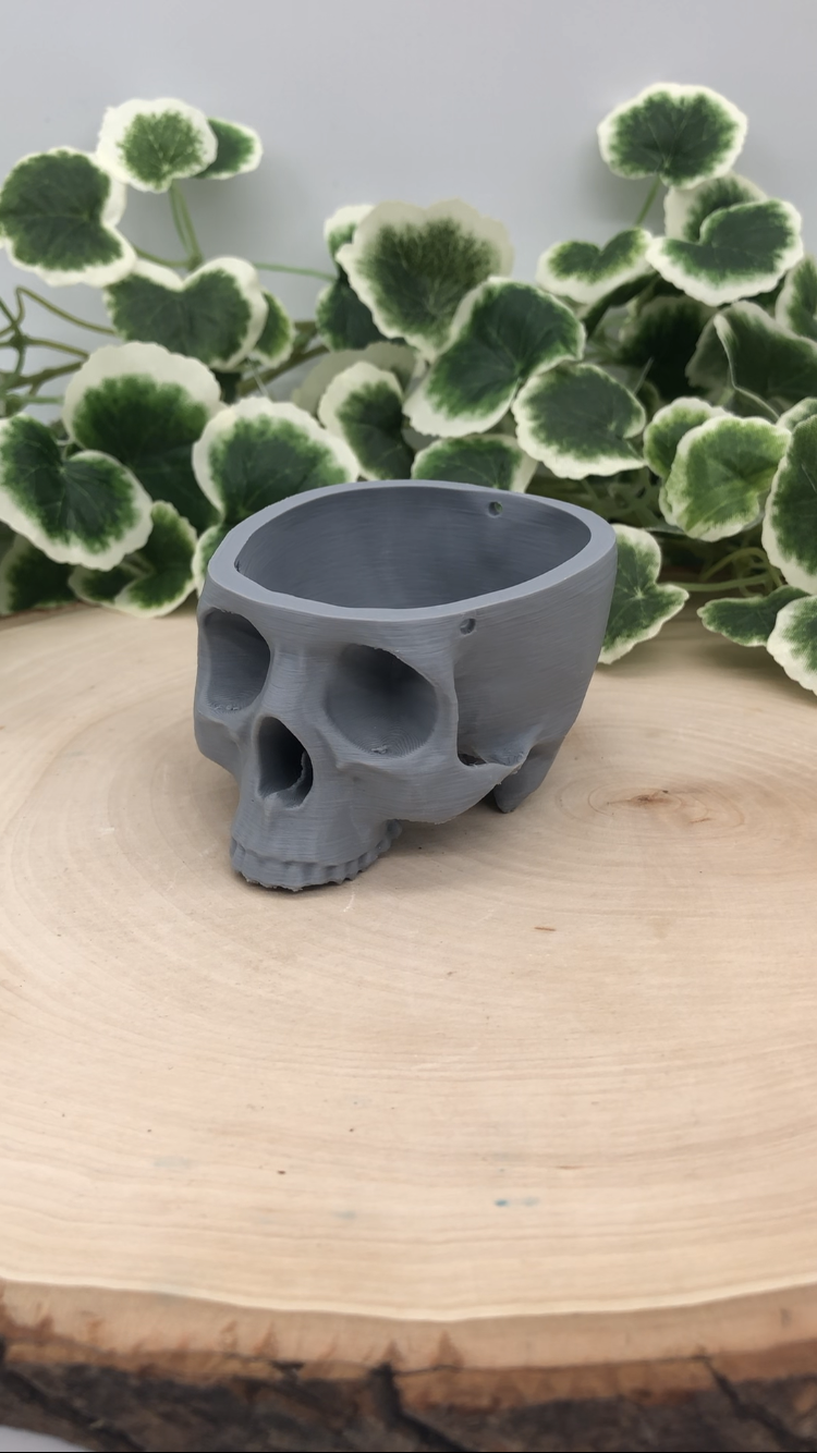 Hanging Skull Planter