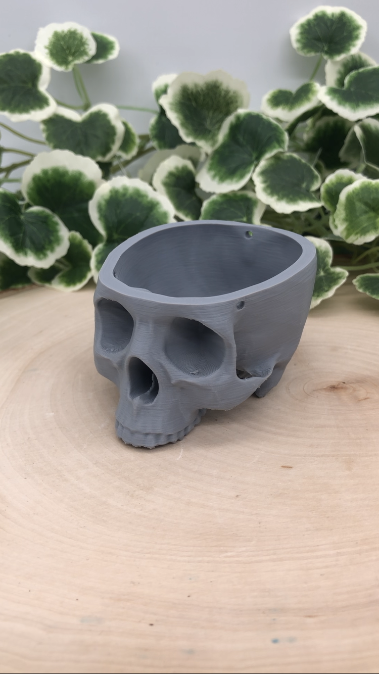 Hanging Skull Planter